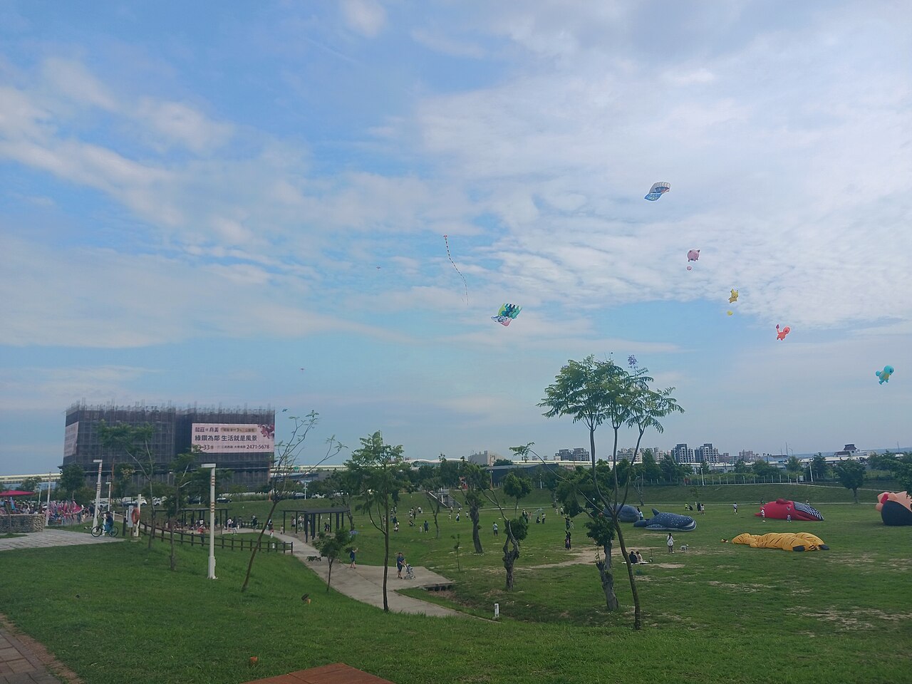 Who's That Flying?!