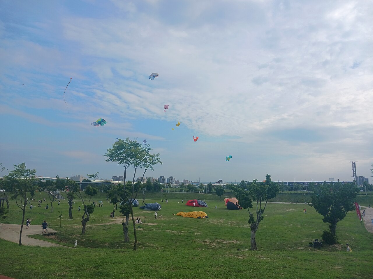Who's That Flying?!