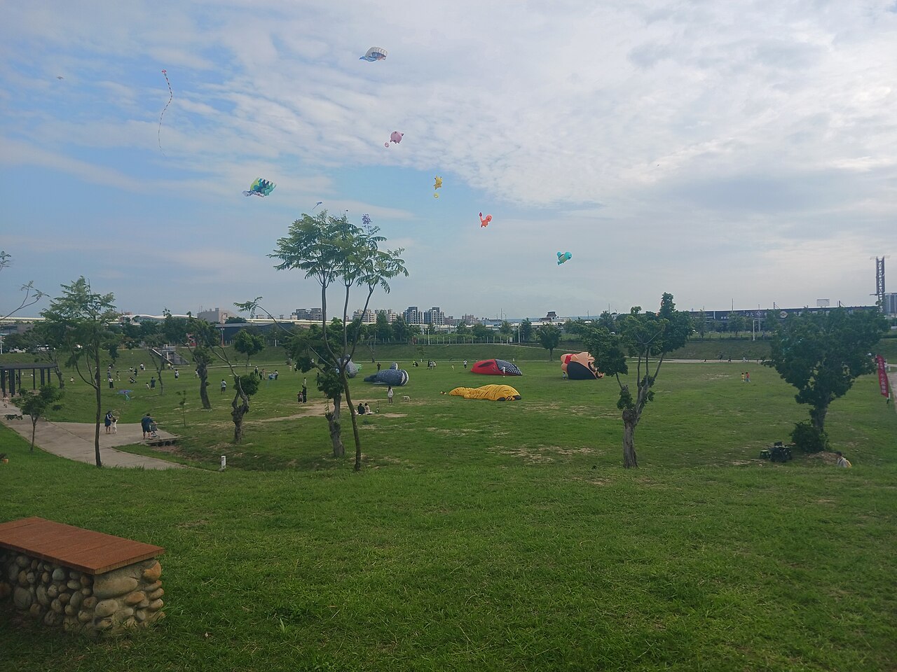 Who's That Flying?!