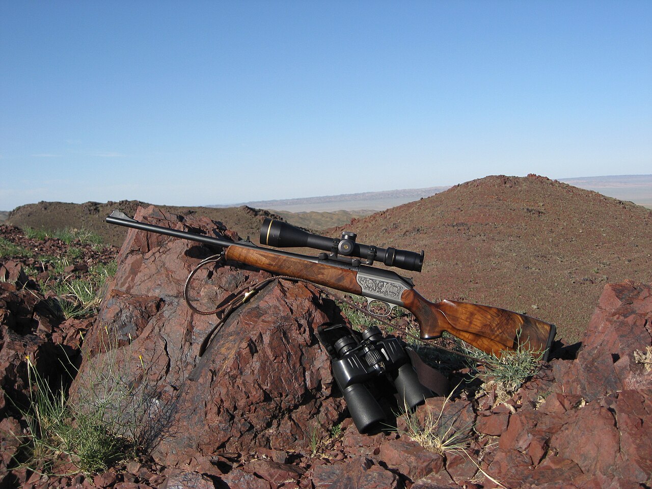 Blaser