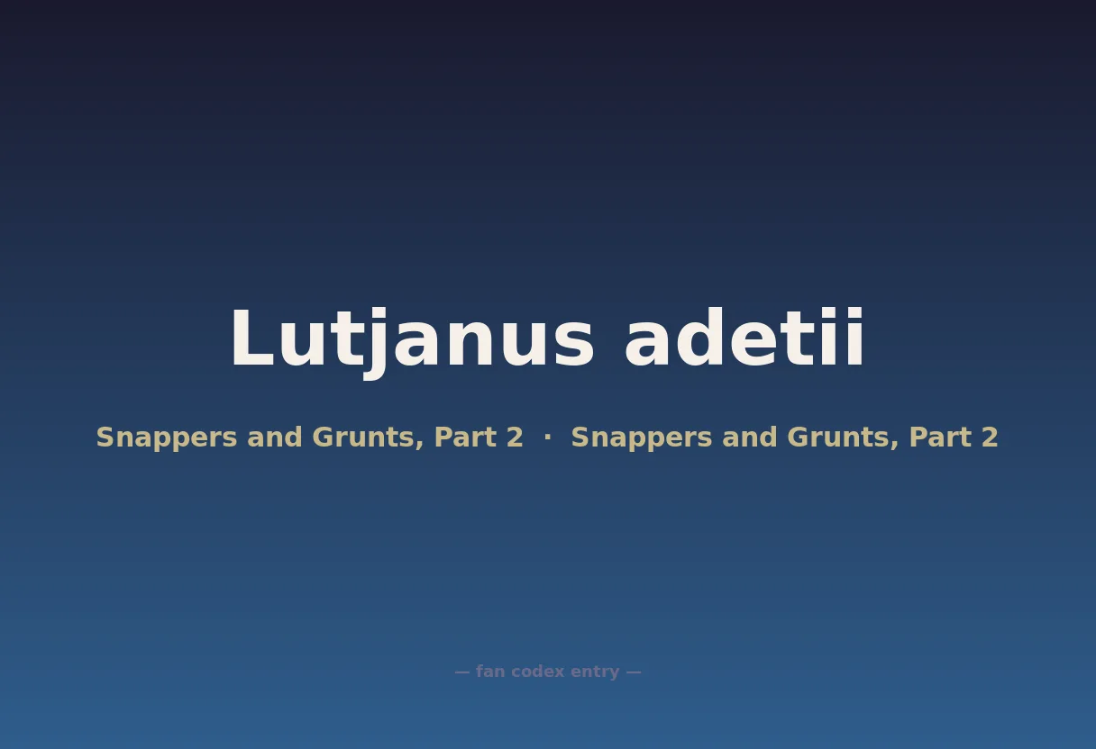 Lutjanus adetii