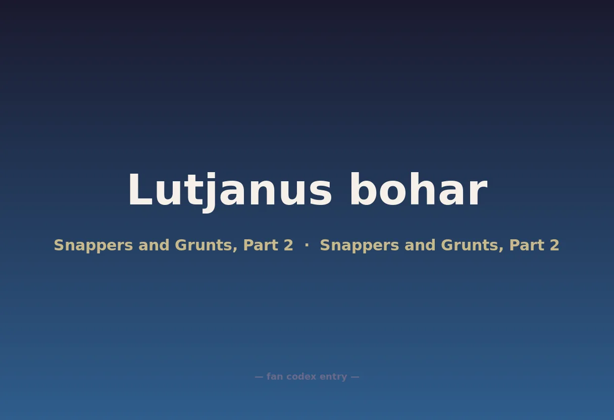 Lutjanus bohar