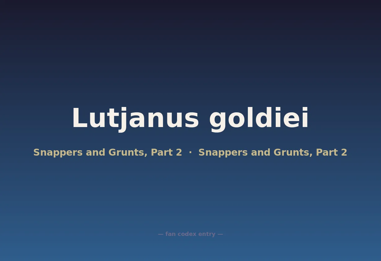 Lutjanus goldiei