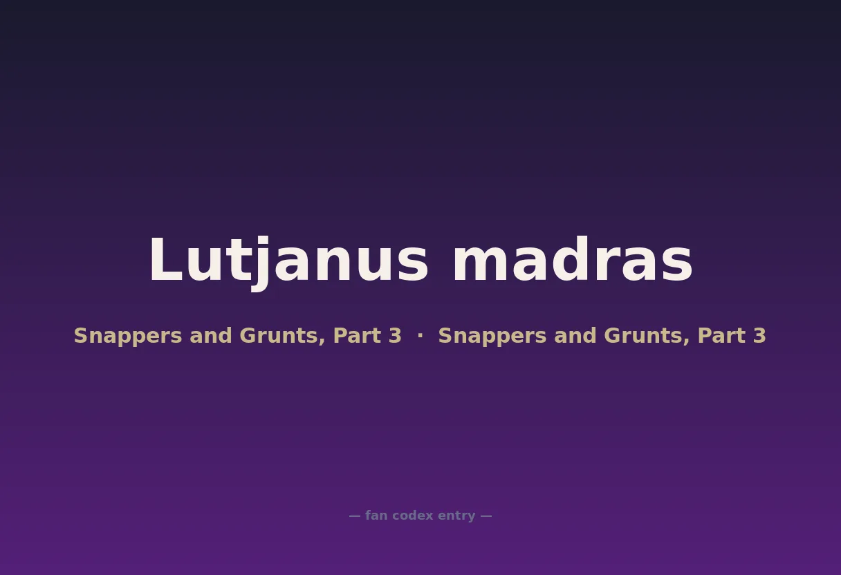 Lutjanus madras