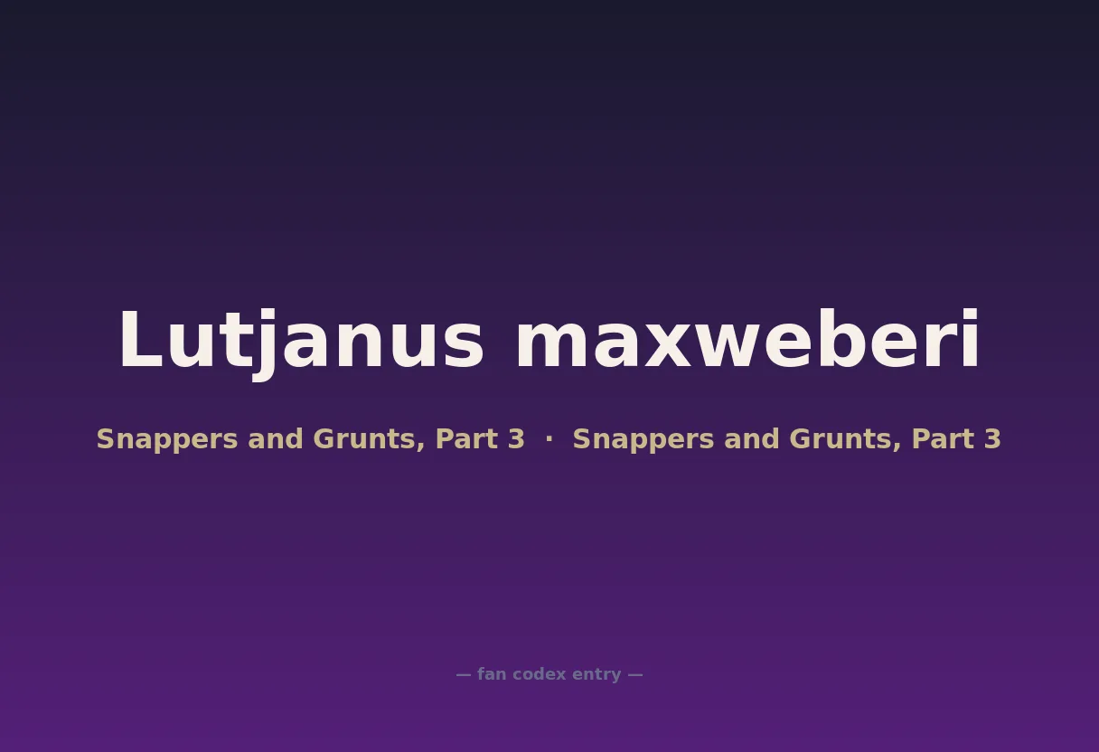 Lutjanus maxweberi