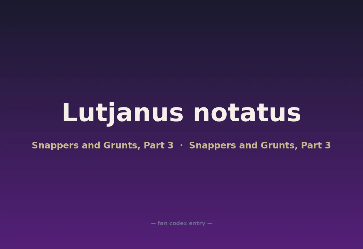 Lutjanus notatus