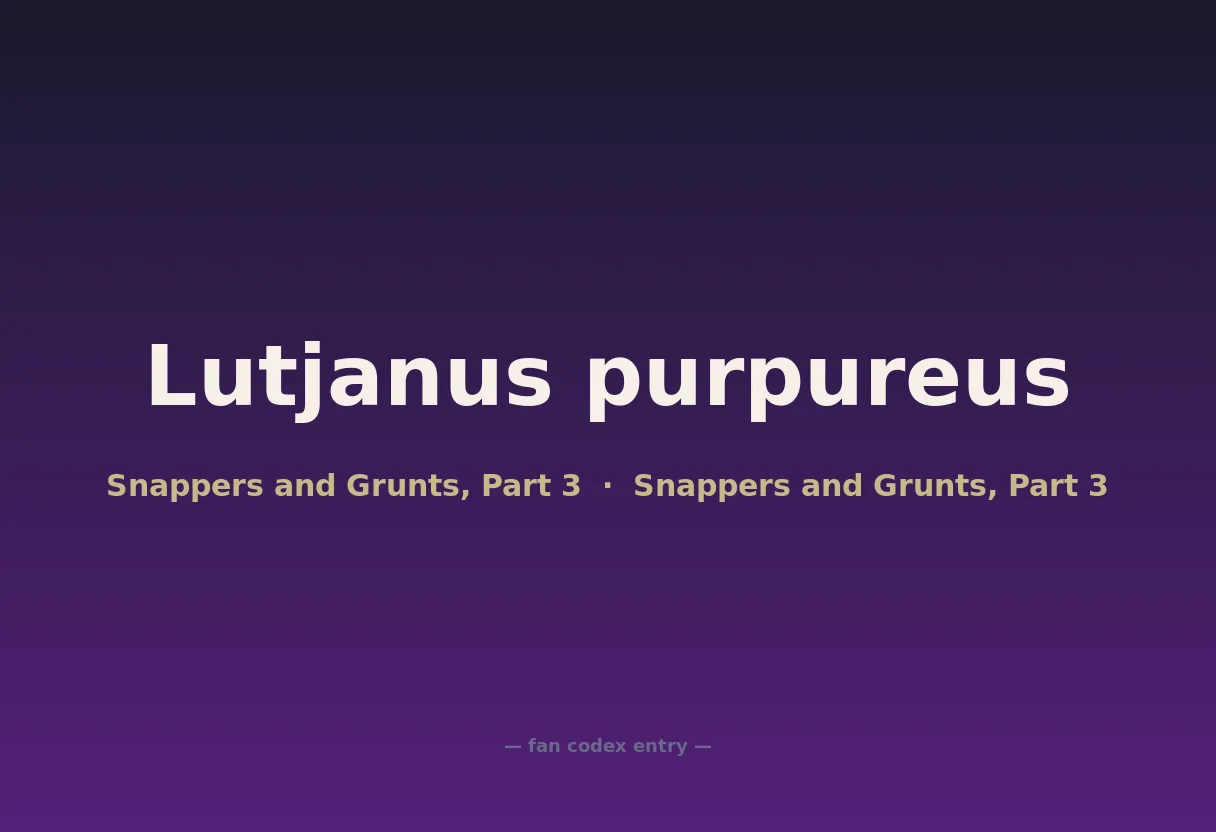 Lutjanus purpureus