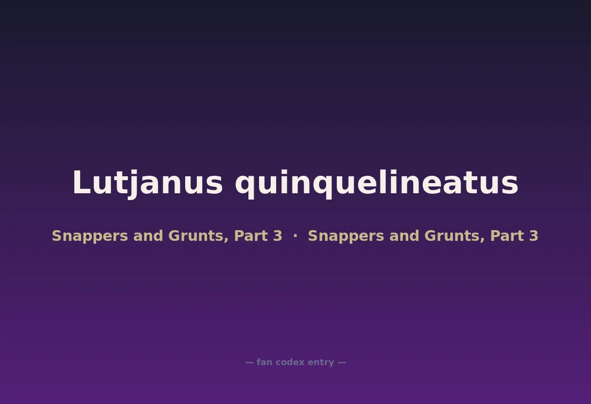 Lutjanus quinquelineatus