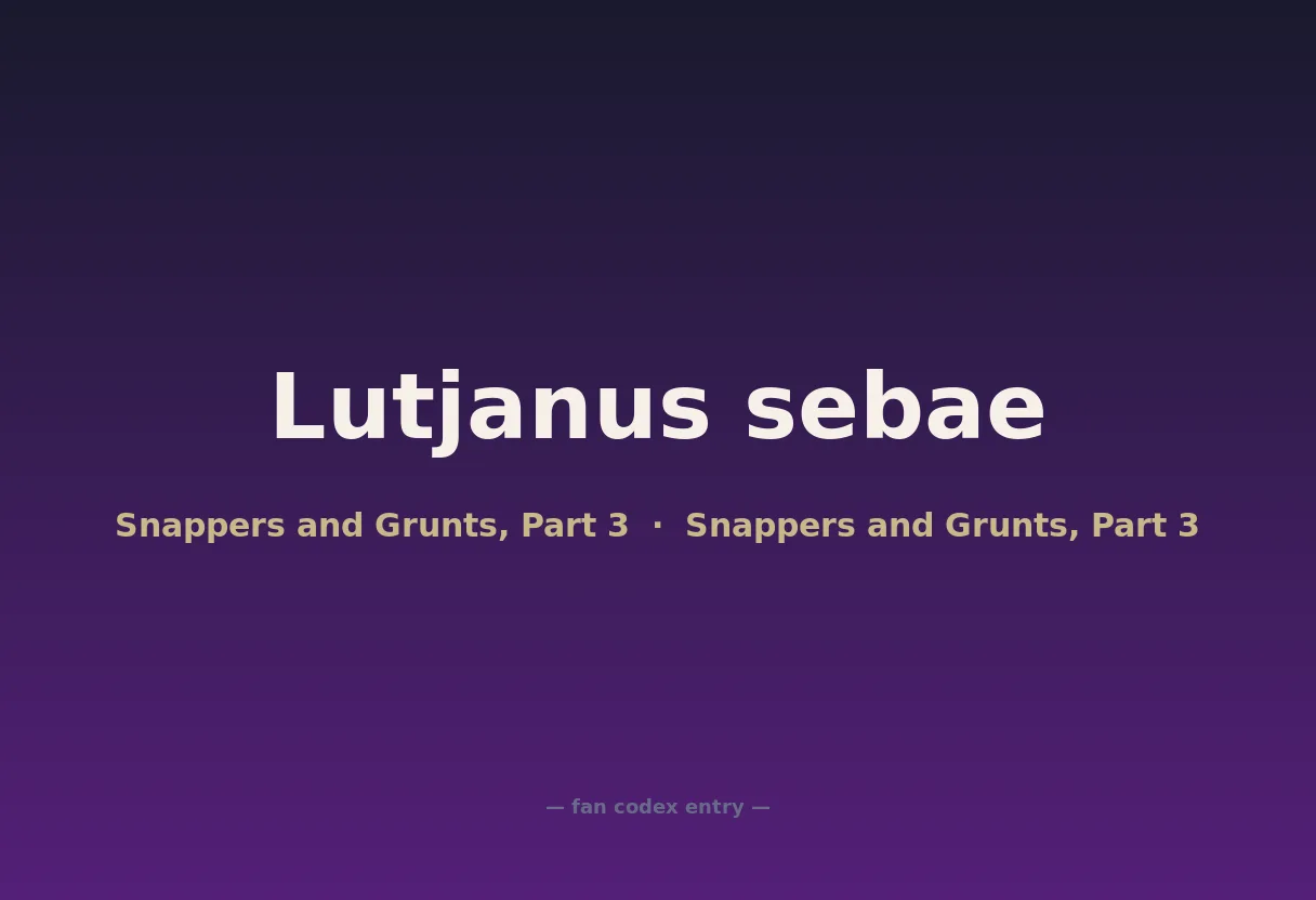 Lutjanus sebae