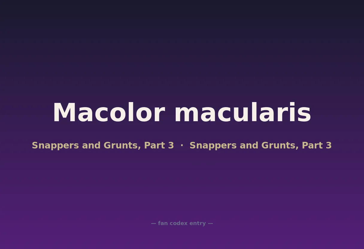 Macolor macularis