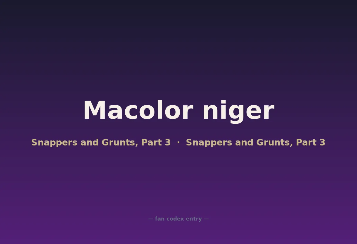 Macolor niger