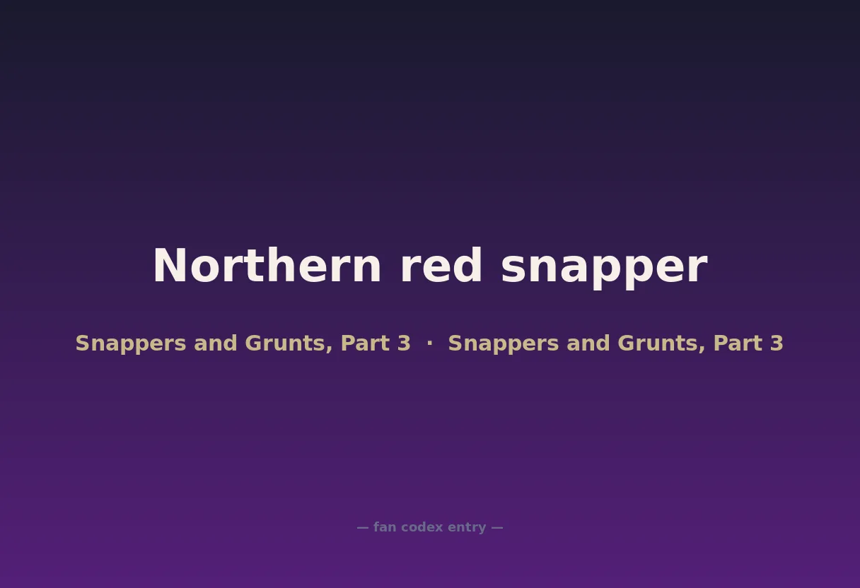Northern red snapper