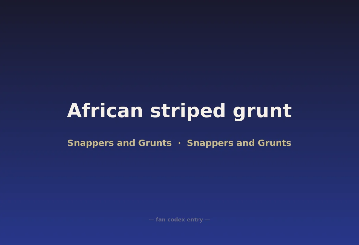 African striped grunt