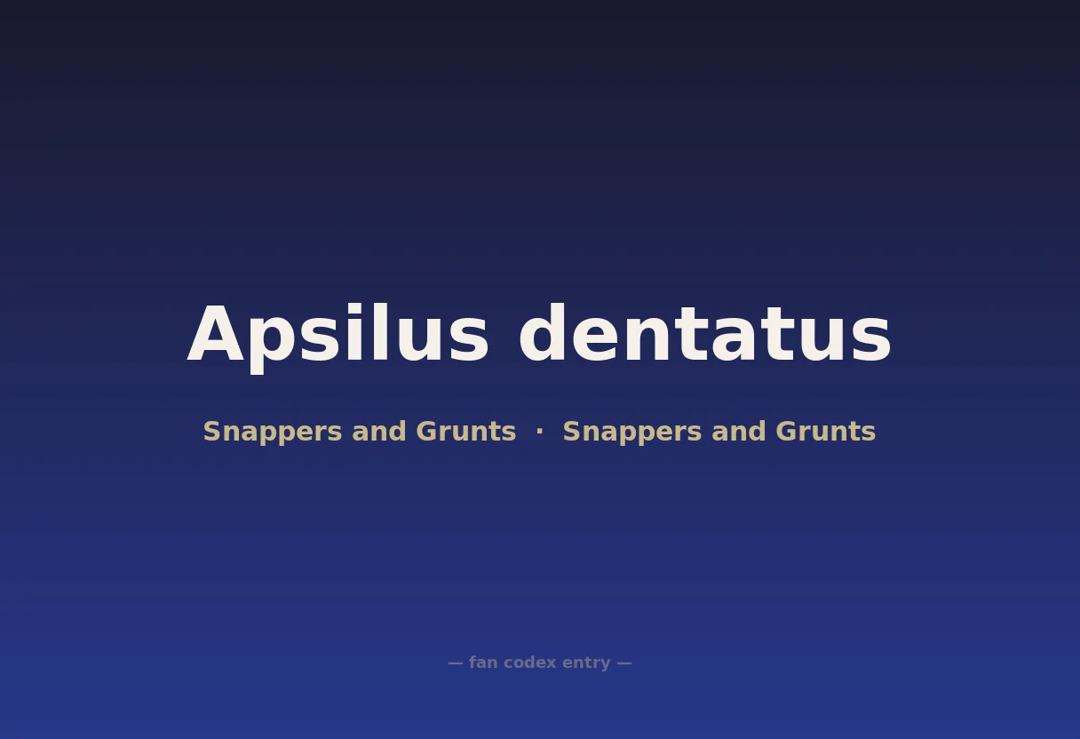 Apsilus dentatus
