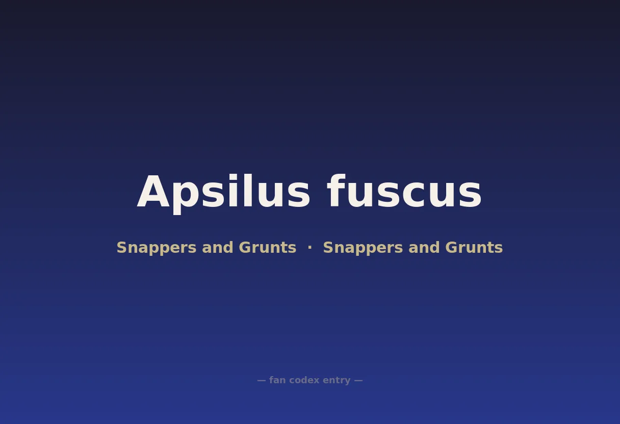 Apsilus fuscus