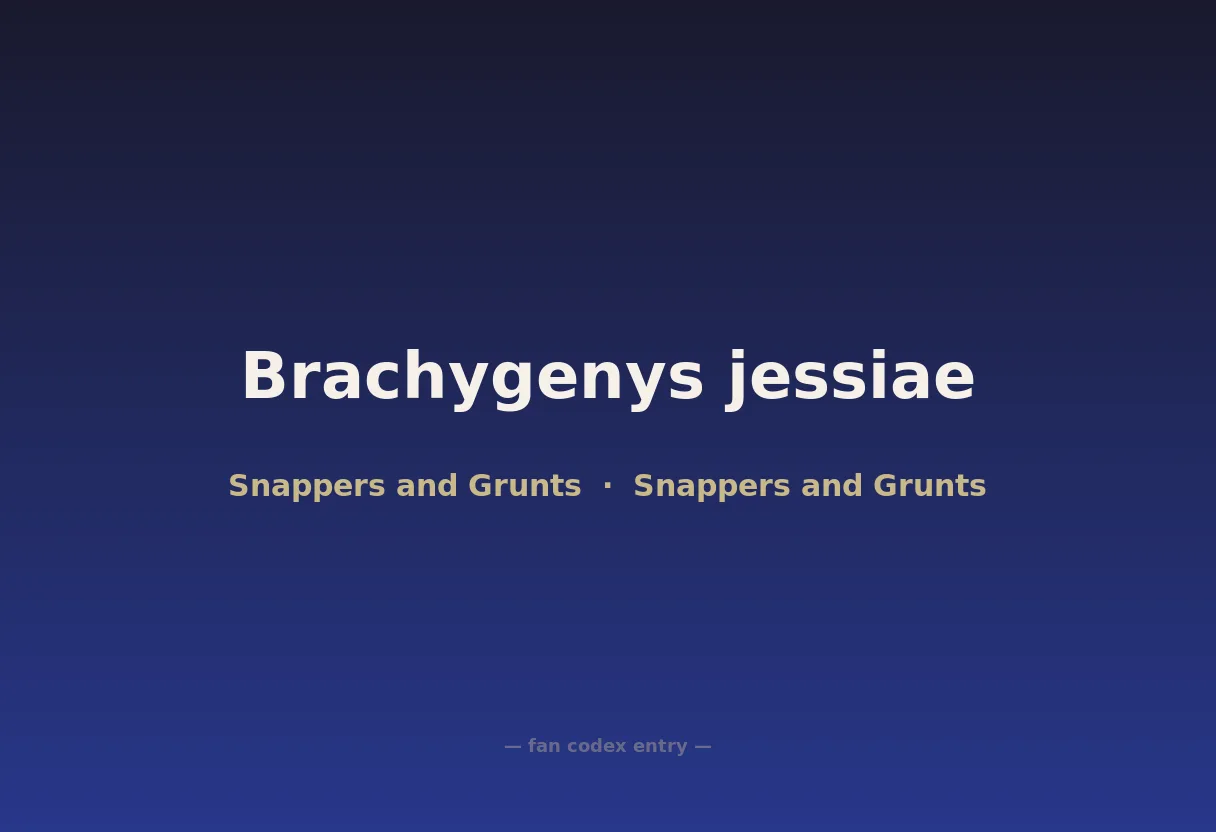 Brachygenys jessiae