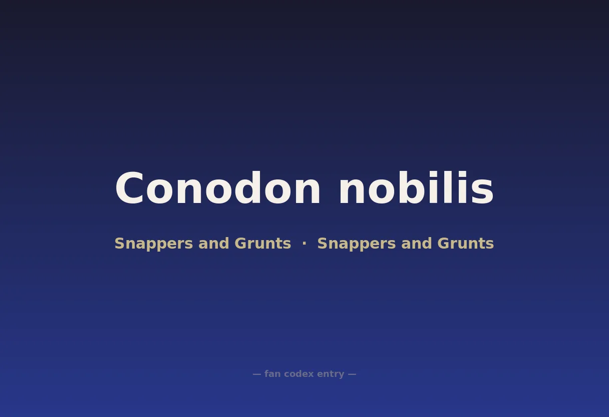 Conodon nobilis