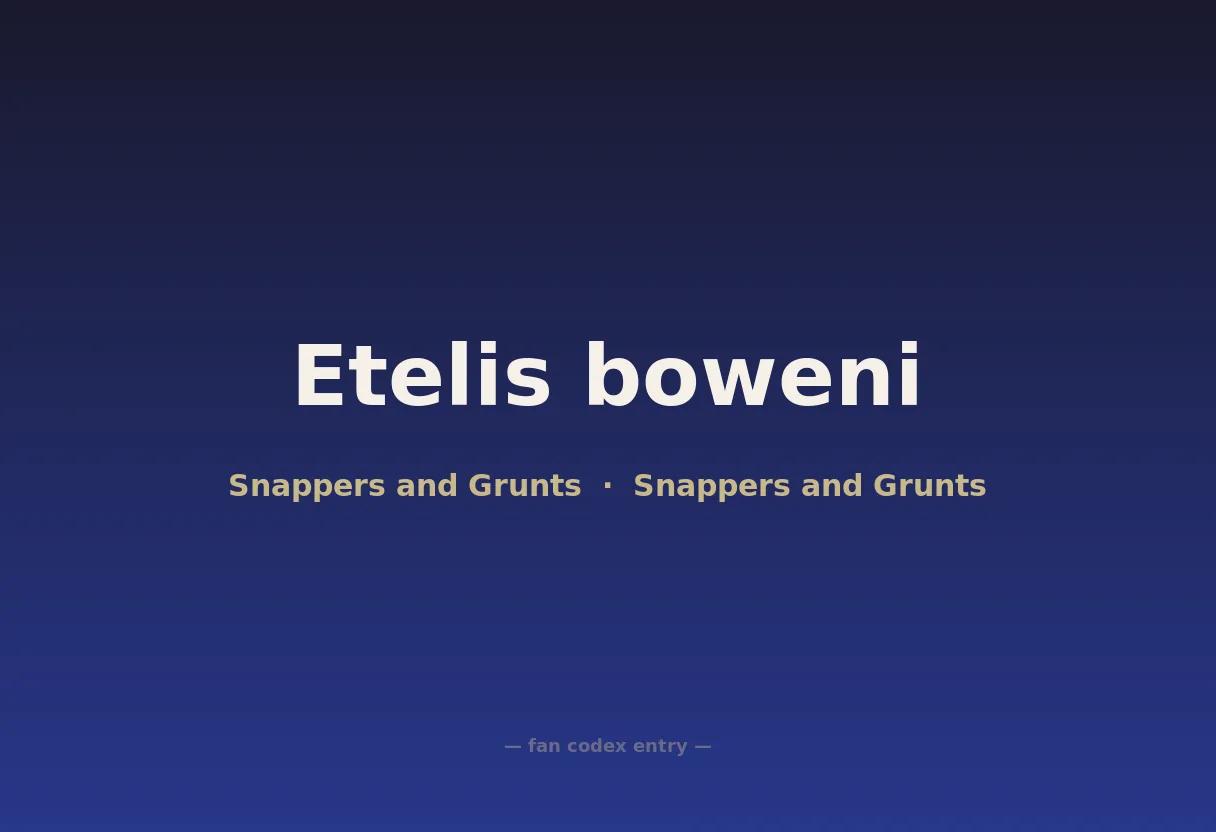 Etelis boweni
