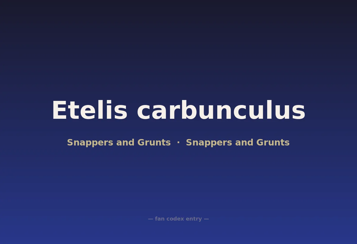 Etelis carbunculus