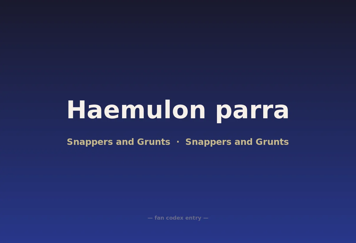 Haemulon parra