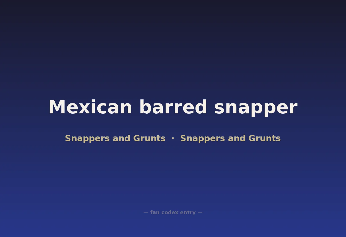 Mexican barred snapper