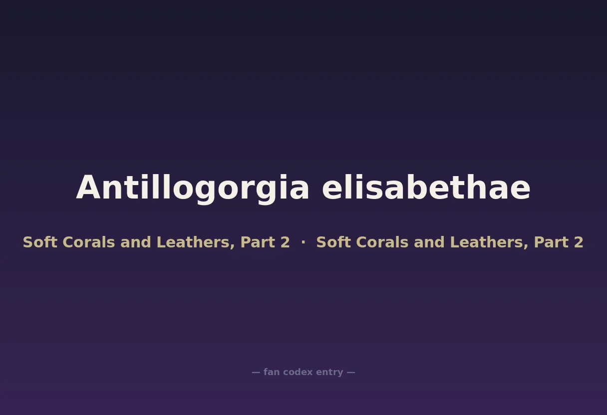 Antillogorgia elisabethae