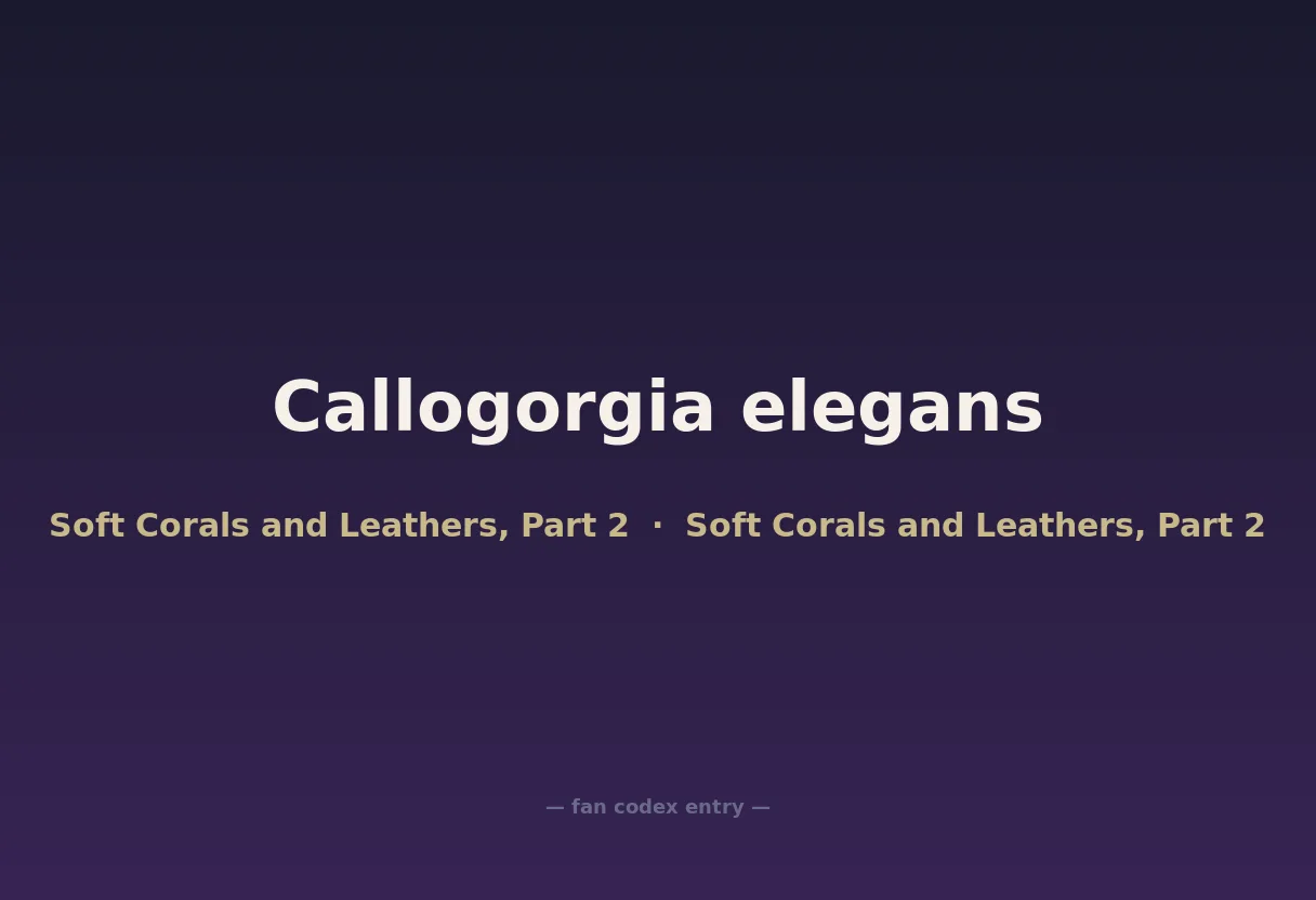 Callogorgia elegans
