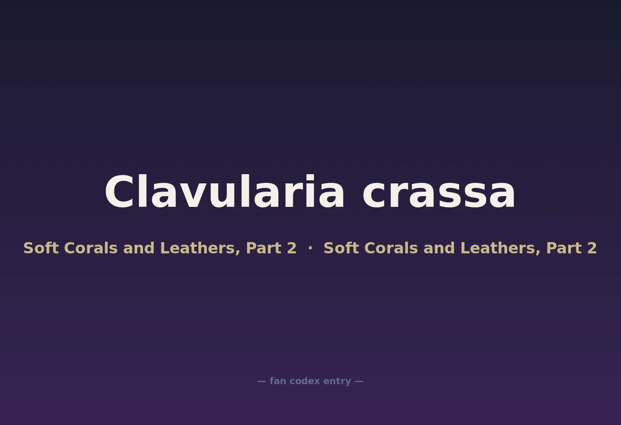 Clavularia crassa