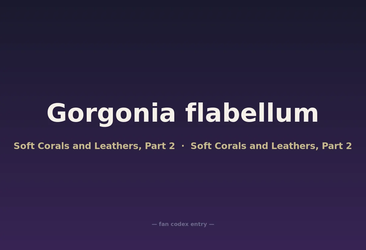Gorgonia flabellum