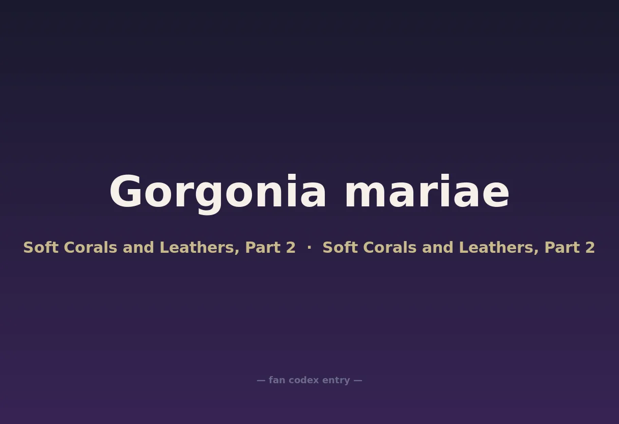 Gorgonia mariae