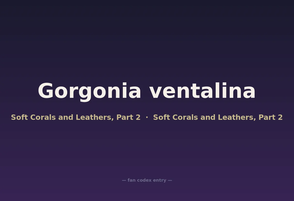 Gorgonia ventalina
