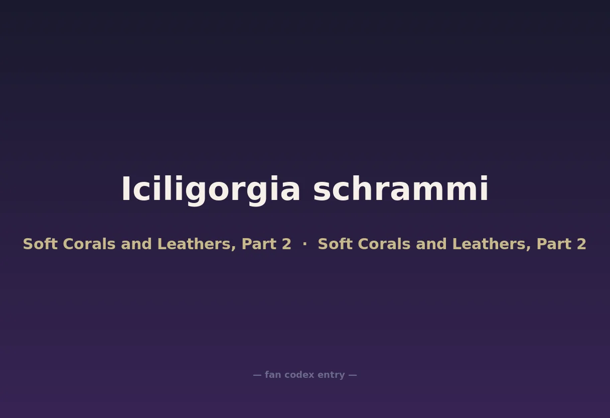 Iciligorgia schrammi