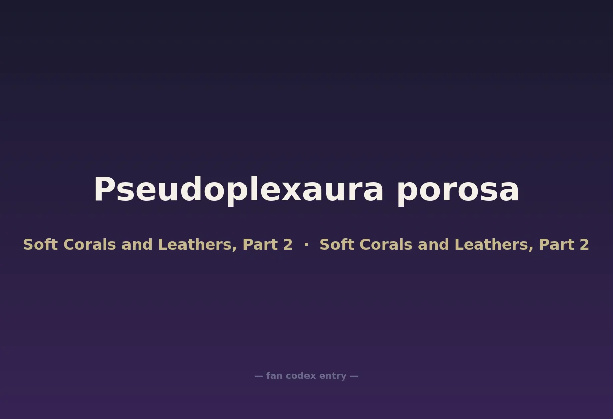 Pseudoplexaura porosa