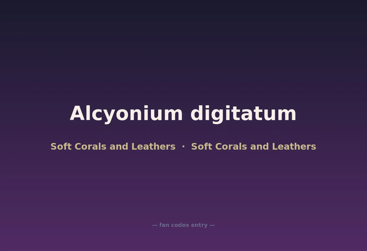 Alcyonium digitatum