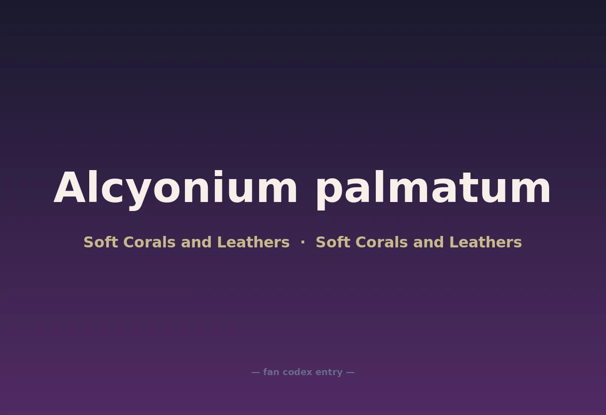 Alcyonium palmatum