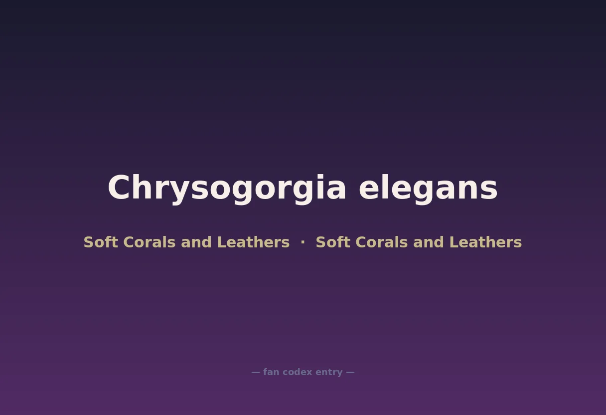 Chrysogorgia elegans
