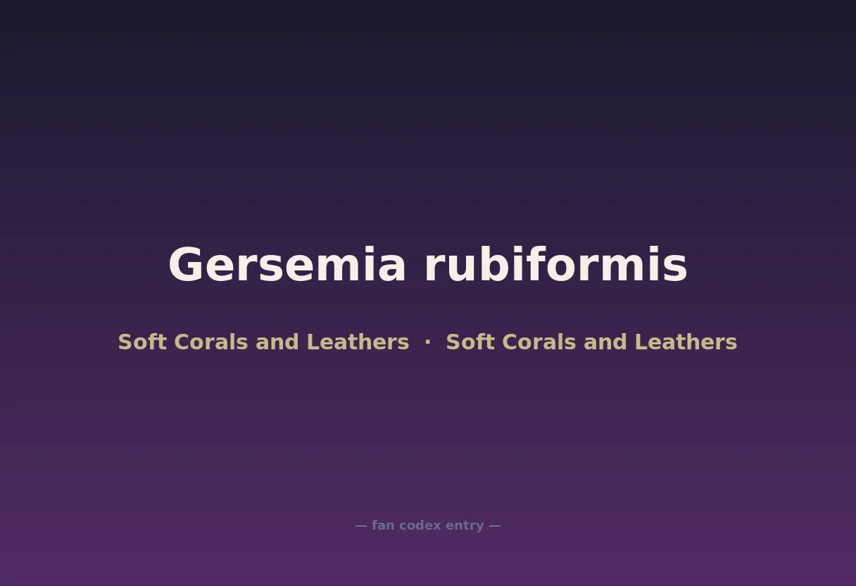 Gersemia rubiformis