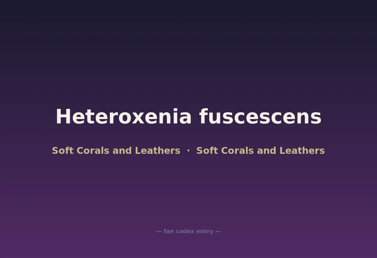 Heteroxenia fuscescens