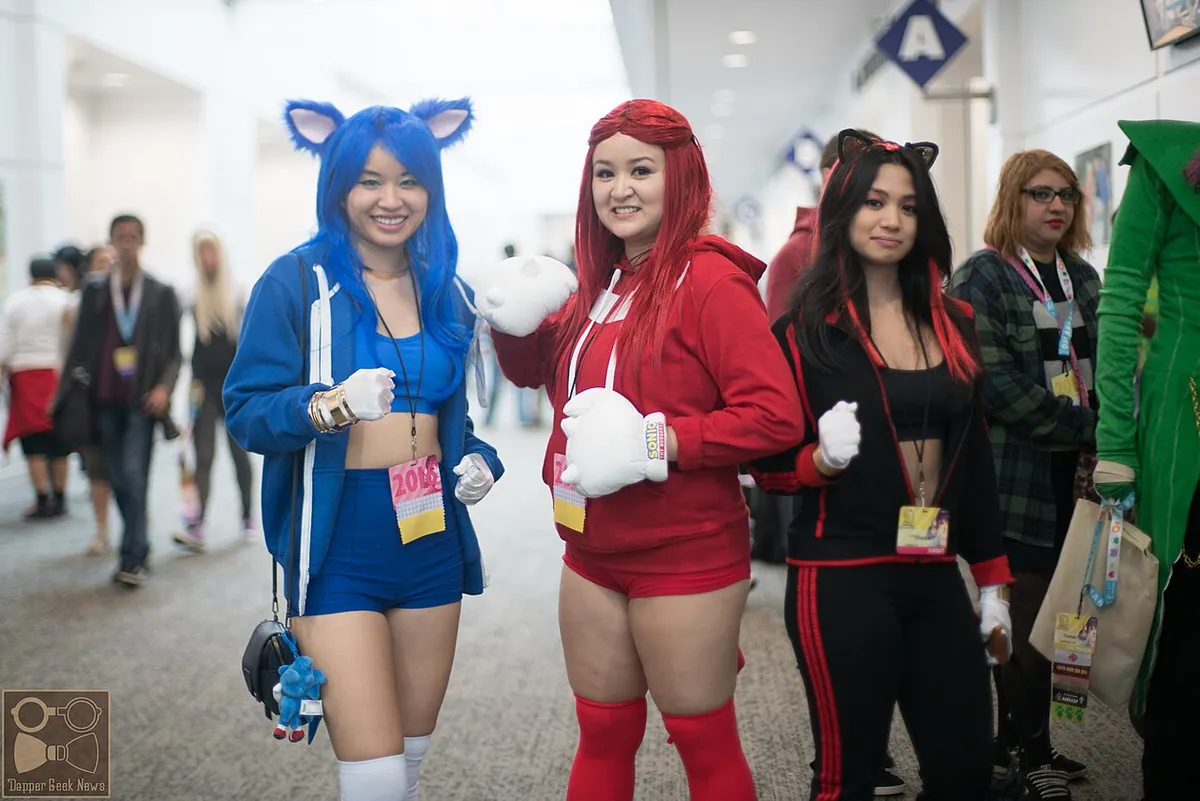Sonic the Hedgehog fandom