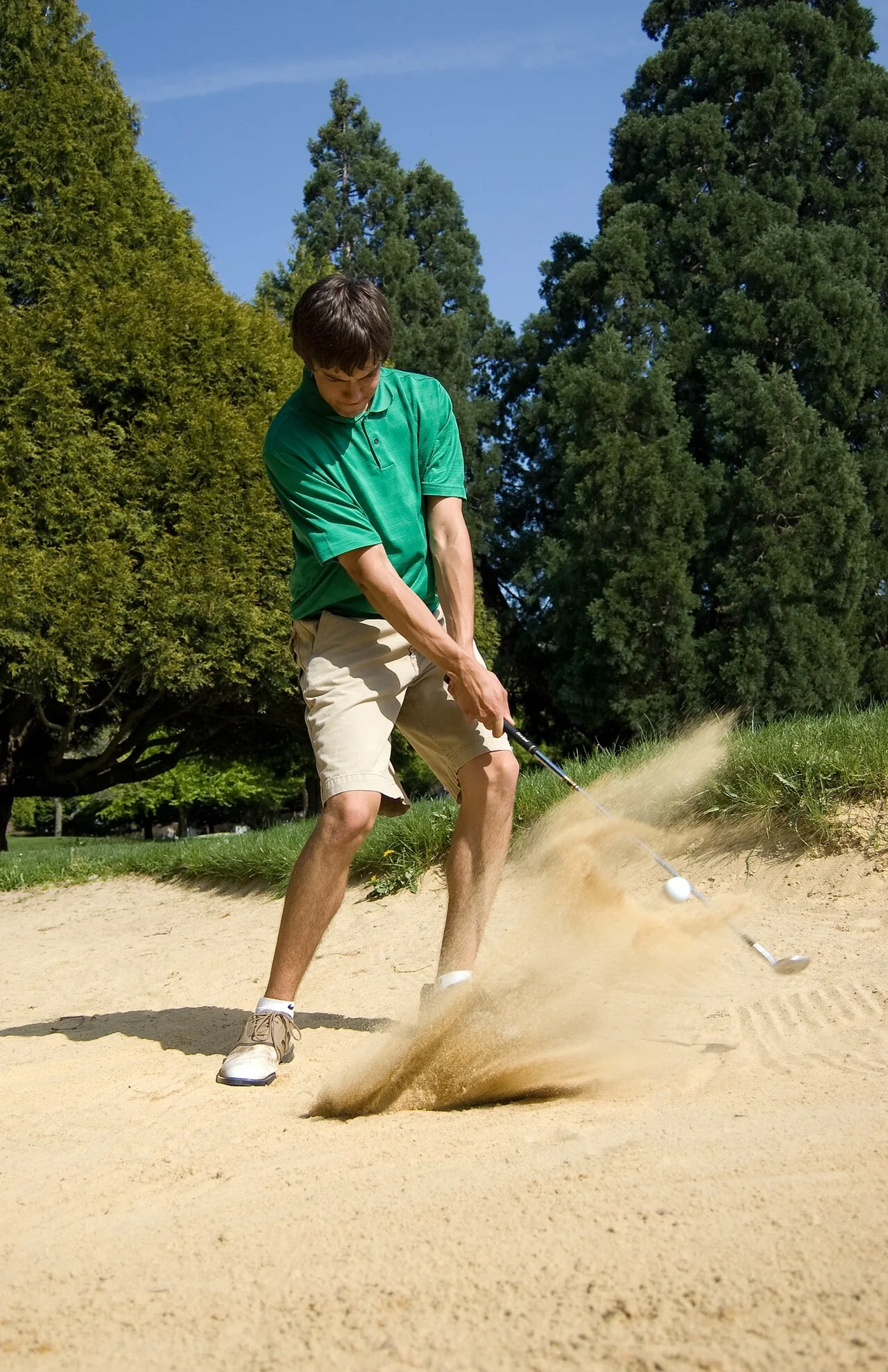 Everybody's Golf