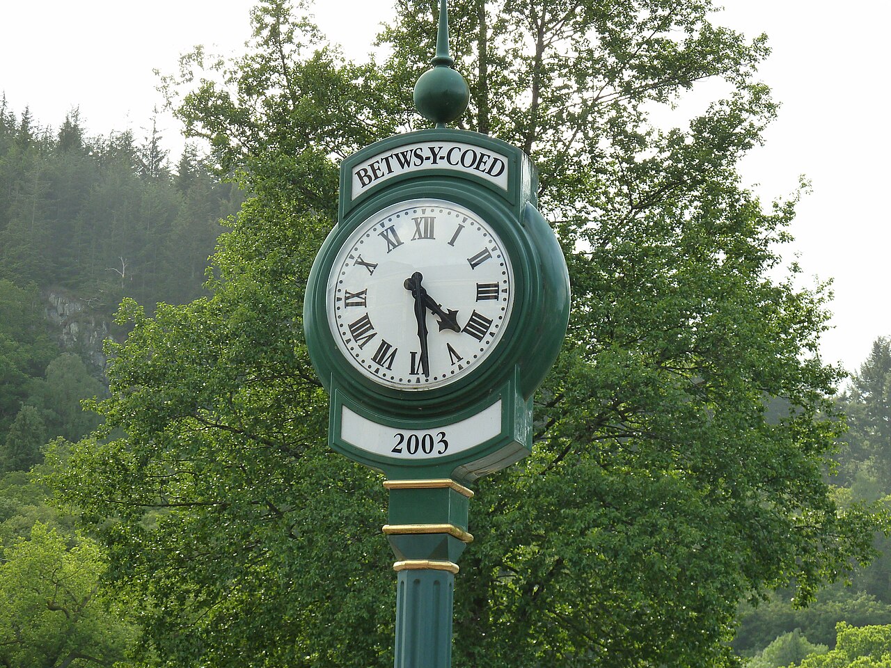 Coed School