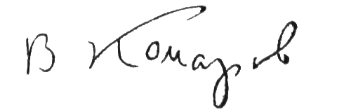 Vladimir Komarov