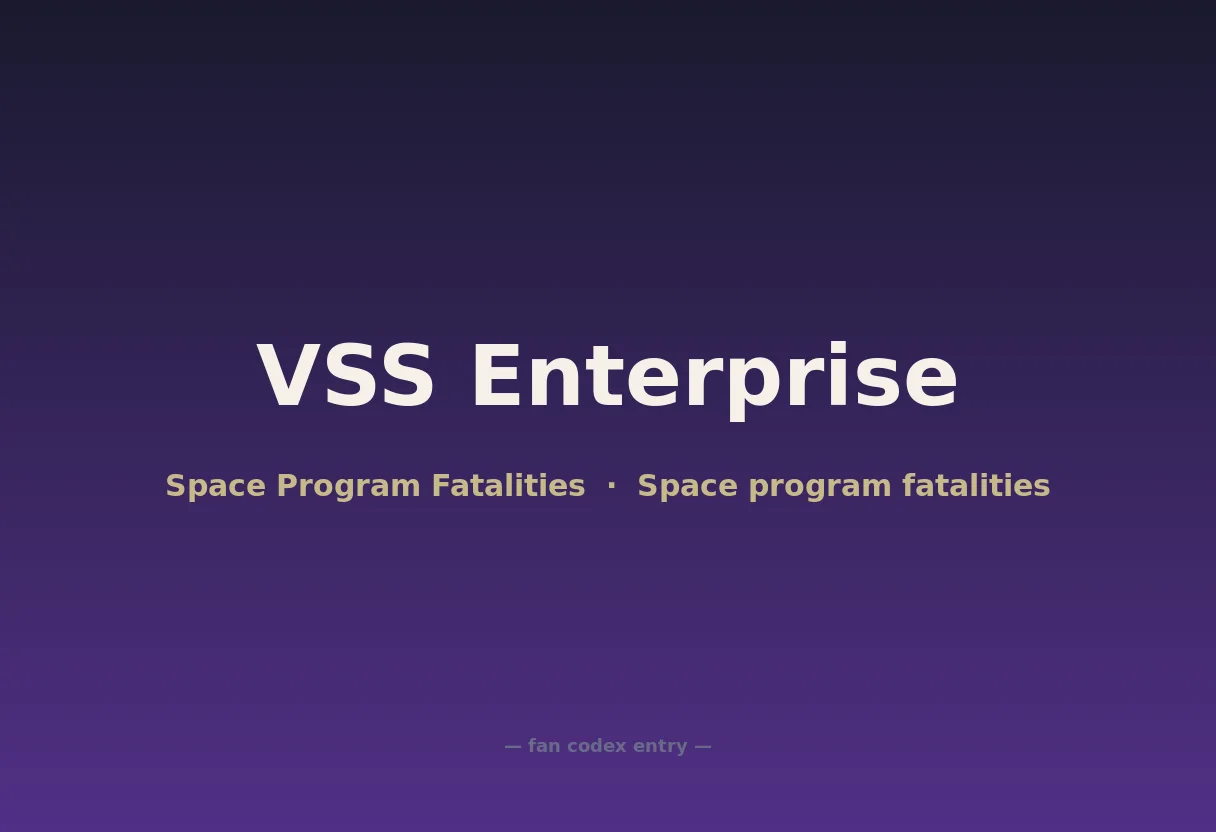 VSS Enterprise