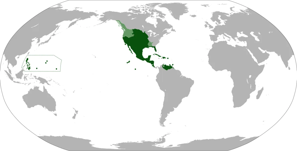New Spain