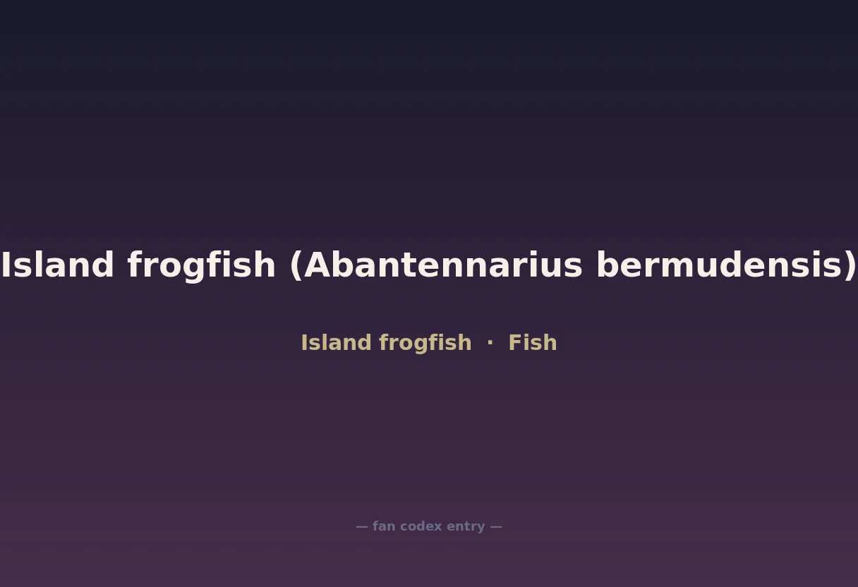 Island frogfish (Abantennarius bermudensis)