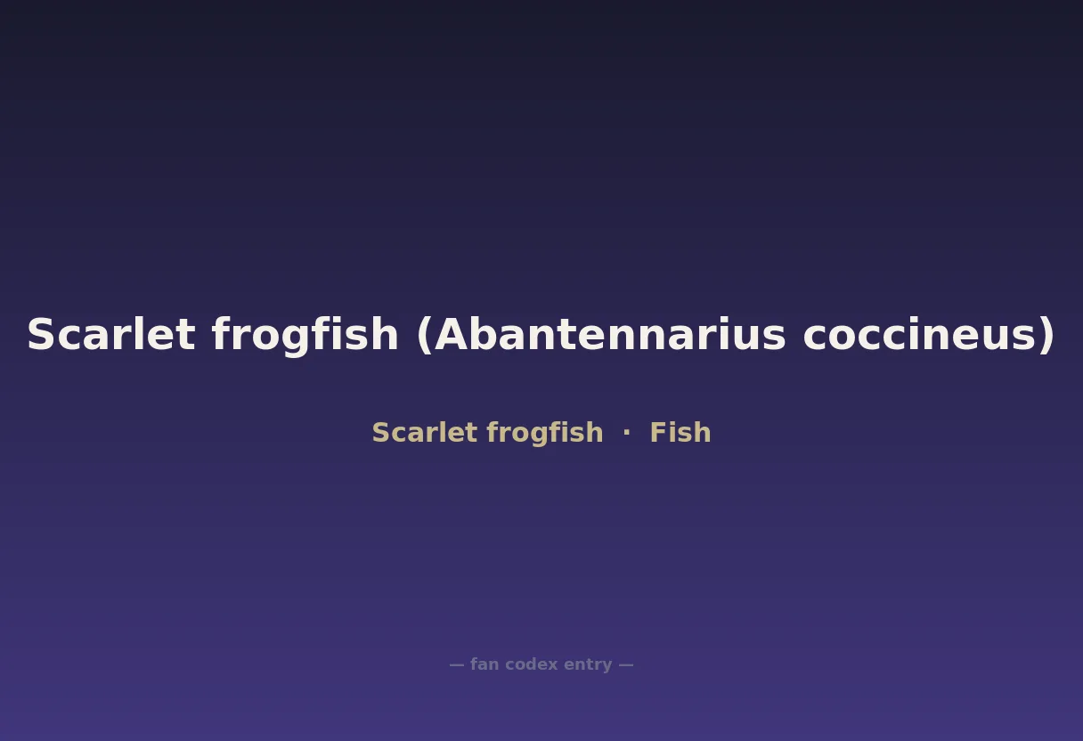 Scarlet frogfish (Abantennarius coccineus)