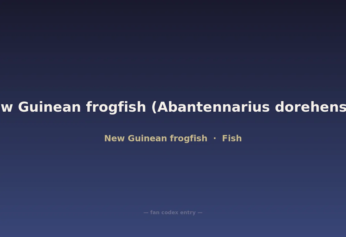 New Guinean frogfish (Abantennarius dorehensis)