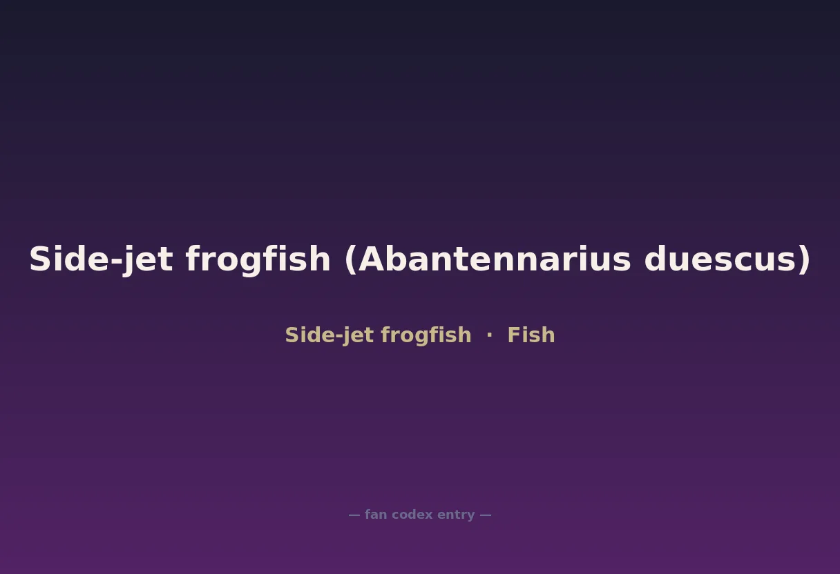 Side-jet frogfish (Abantennarius duescus)