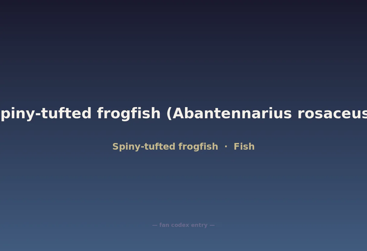 Spiny-tufted frogfish (Abantennarius rosaceus)
