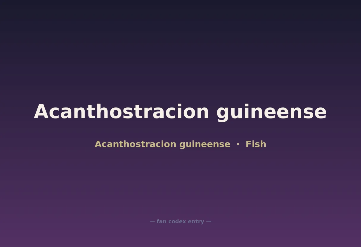 Acanthostracion guineense
